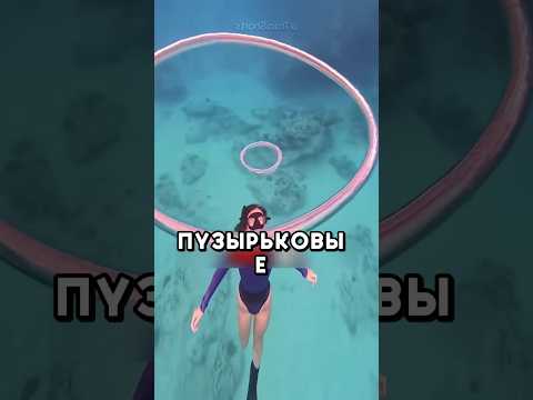 Как они выдувают колечки из пузырей #shorts