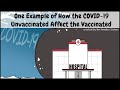 Understanding the Impact of COVID-19 Vaccination