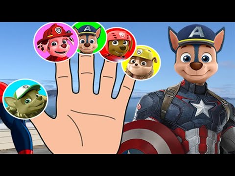 Paw Patrol Captain America Finger Family Song Nursery Rhymes Lyrics