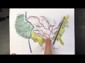 Rivers and Drainage Basins