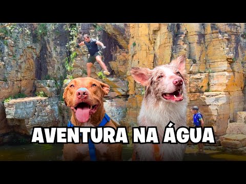 Aventura Na Água: O Que Aconteceu Quando Pulamos da Pedra?