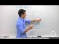 Exploring Inscribed Angles and Their Properties