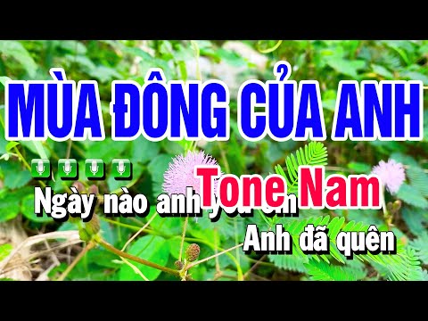 Karaoke Mùa Đông Của Anh Nhạc Sống Tone Nam | Beat Huỳnh Anh