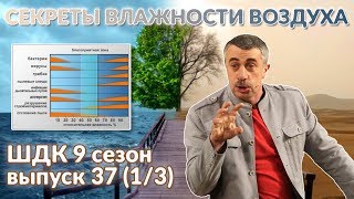 видео