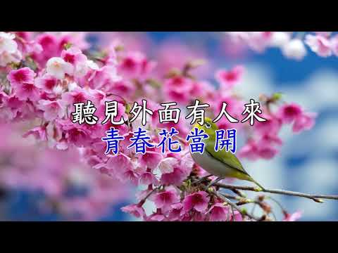 預載入圖像