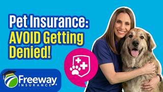 The Truth About Pet Insurance and Pre-Existing Conditions