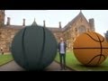 Physics of Falling Objects