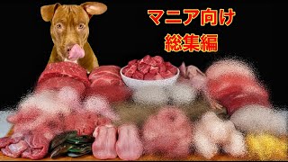 咀嚼音ベストセレクション🍖至福の総集編