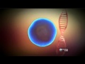 Synthetic Life and Its Implications