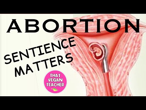 New Song: Sentience Matters; If You’re Pro-Life You Should Be Vegan