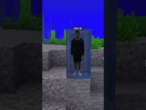 Minecraft Java vs Bedrock 3