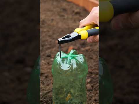 Your Garden Needs these Upgrades in 2025! 🌿 #shorts #garden #gardening #diy #farming #diyprojects