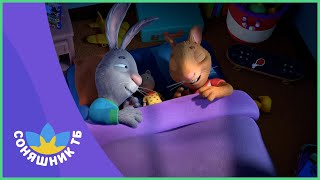 На сон прийдешній 🛌😴 | Шусть і Шуня | @Соняшник ТБ