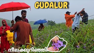 This place is something special now|Gudalur|nilgiris|tamilnadu |rahimvlogs 