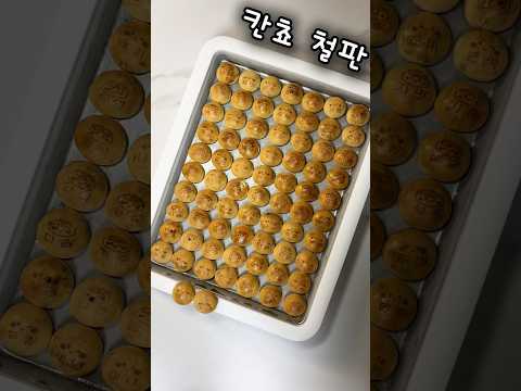 네 이름을 찾아봐!