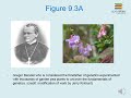 Genetics and Chromosomes Concepts