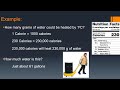 Energy Measurement and Caloric Concepts