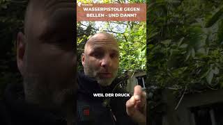 Leinenruck oder Wasserpistole gegen Bellen - wirkt kurz. Aber was passiert wirklich? 🐕