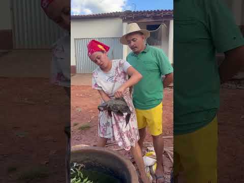 A comadre foi pescar e pegou um avião
