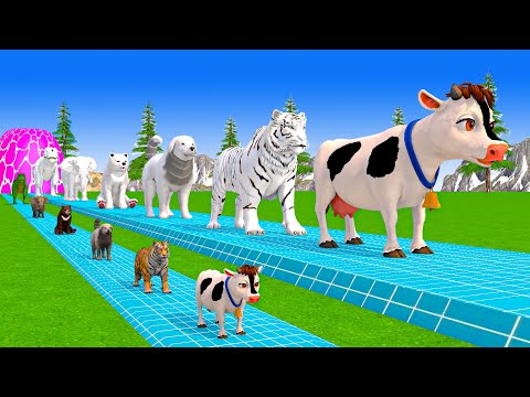 Paint & Animals Cow,Elephant,Lion,Tiger,Gorilla,Dinosaur, Fountain Crossing Transformation Cartoon