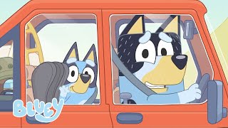 Cacahuete grande 🥜 | Viaje por carretera | Bluey Español Canal Oficial