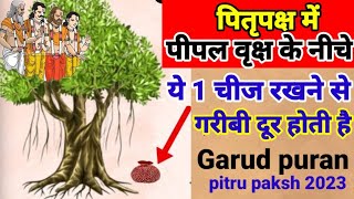 सर्वपितृ अमावस्या के दिन, पीपल वृक्ष के निचे करें, ये एक छोटा सा उपाय, बड़ी से बड़ी समस्या भी...
