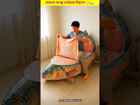 My father and brothers' bed 😳