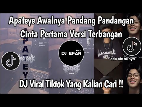CINTA PERTAMA VERSI TERBANGAN | APATEYE AWALNYA PANDANG PANDANGAN VIRAL TIKTOK TERBARU 2025