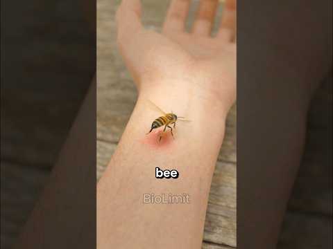 Which insect sting would break you? #3d #interesting #nature