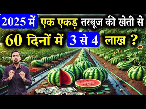 2025 में तरबूज की खेती कब और कैसे करें | Tarbuj ki kheti kaise karen | Watermelon Farming in India