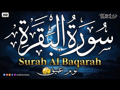 سورة البقرة🎧 تلاوة هادئة ومريحه جداً تسمعها قبل النوم😴ارح قلبك بالقرآن الكريم💙Sourat Al Baqara full