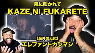 エレファントカシマシ - 風に吹かれて｜【海外の反応】泣きそうになったあの曲、もう一度聴きたくて… 🇯🇵💨