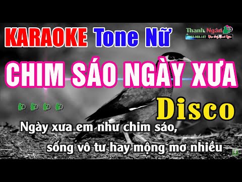 Chim Sáo Ngày Xưa Karaoke Tone Nữ Disco | Nhạc Sống Thanh Ngân