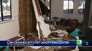 Cats missing after car crashes into Oakdale animal shelter