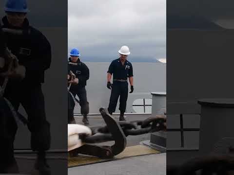 Why Anchors Should Never Be Free-Dropped? #shorts