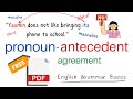 Understanding Pronouns and Their Usage