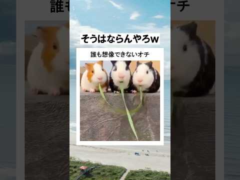 お前が食べるんかいｗｗｗ