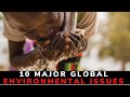 Environmental Issues and Their Impacts