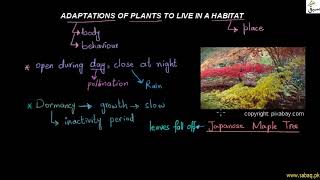 Adaptations of Plants to Live in a Habitat