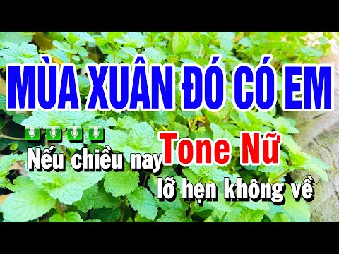 Karaoke Mùa Xuân Đó Có Em Nhạc Sống Tone Nữ Bm | Beat Huỳnh Anh