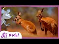 Exploring the Platypus and Australian Wildlife