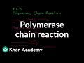PCR Process and Applications