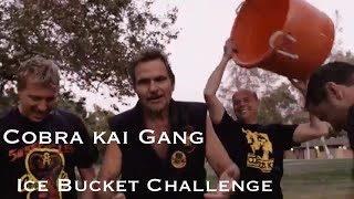 Cobra Kai Gang Ice bucket challenge!!