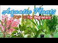 Aquatic Plants Characteristics and Benefits