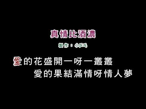 (演唱版)鳳飛飛-真情比酒濃(DIY卡拉OK字幕)