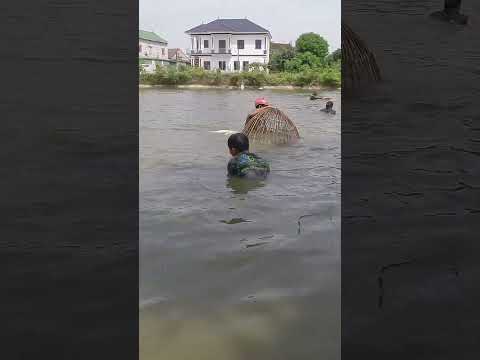 Nơm cá trôi khổng lồ  #fishing #nomca