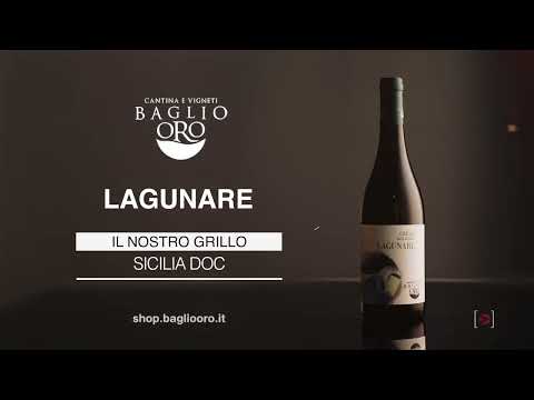 Vito Sugameli Filmmaker