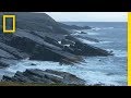 Fossils and Geological History of Mistaken Point