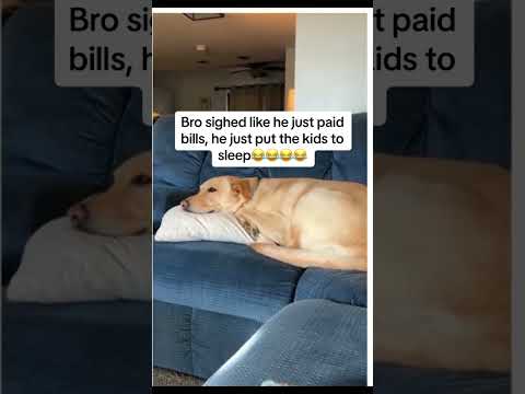 Bro sighed like he just paid bills, he just put the kids to sleep #memes