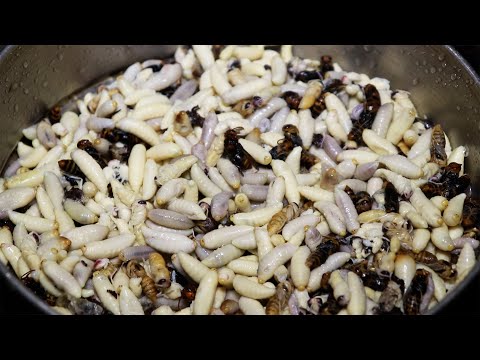 Hornet larva fry recipe || Hunting hornet at night in the village @nepalivillagekitchen